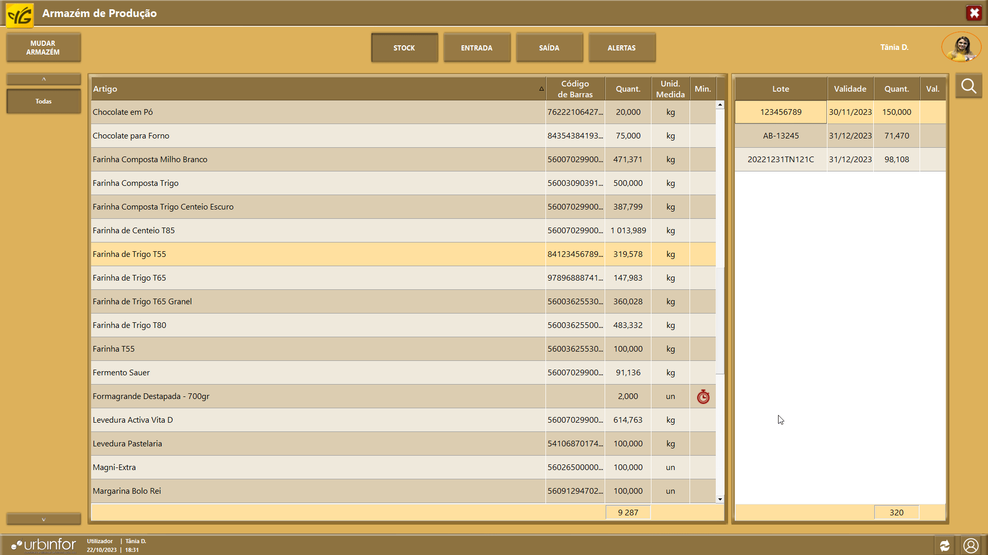 Terminal de Armazém